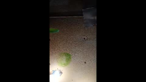 potsymcstoner online show from 09/12/25, 05:46