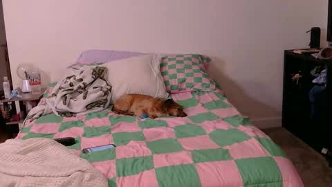 PAWG Pale Princess online show from 10/19/25, 06:03