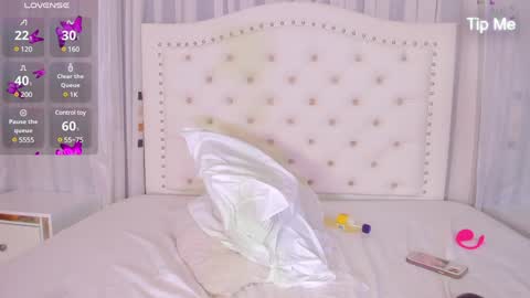 Snapshot of pretty_aeri chatting on 12/27/24, 11:06 Sarah online show from 12/27/24, 11:06