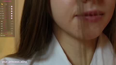 Snapshot of pretty_princess_elina chatting on 01/25/25, 05:30 Elina online show from 01/25/25, 05:30