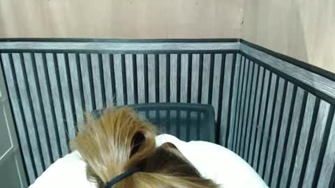 Snapshot of prettykate_04 chatting on 10/08/25, 07:00 Kate online show from 10/08/25, 07:00