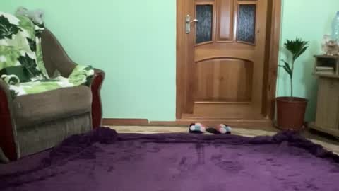 proud sweet 21 online show from 09/08/25, 09:58