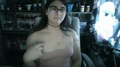 Pup Cup69 online show from 11/19/25, 08:31