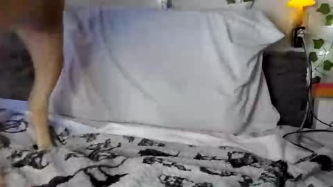 Snapshot of pupgender chatting on 02/02/25, 02:38 Rhys online show from 02/02/25, 02:38