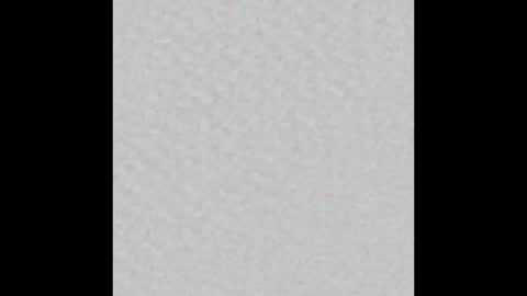 Birdie online show from 11/24/25, 05:07