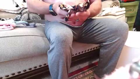 puss123176428 online show from 02/16/25, 10:32