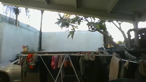 Snapshot of python974 chatting on 10/09/25, 02:42 Python online show from 10/09/25, 02:42