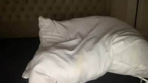 qlf0506 online show from 11/12/25, 02:01