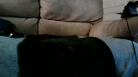 Snapshot of r3710 chatting on 12/10/24, 06:28 Bi daddy online show from 12/10/24, 06:28
