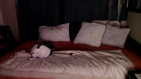    RAMONA Q   online show from 12/20/24, 08:49