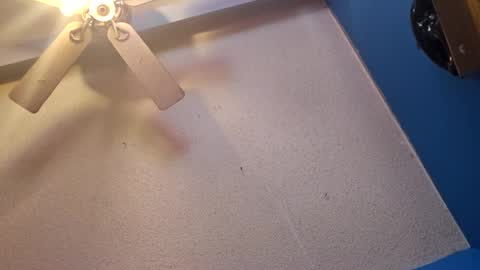 Randcandy77 online show from 11/11/25, 04:51