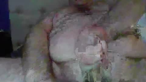 Snapshot of randythedingo chatting on 02/18/25, 04:37 randythedingo online show from 02/18/25, 04:37