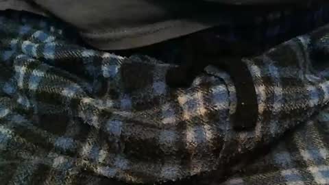 Snapshot of ratlesnk chatting on 11/16/25, 09:37 boneifyed online show from 11/16/25, 09:37