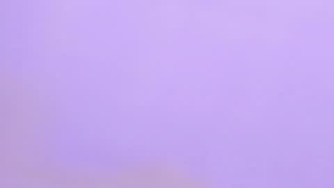 Stefany    online show from 12/10/24, 12:06