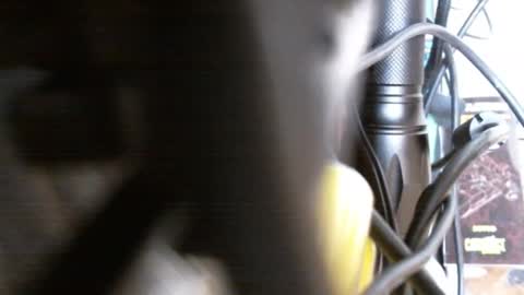 redorchard online show from 02/17/25, 06:04