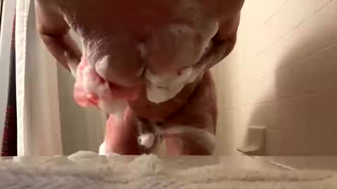 Red online show from 11/18/25, 02:50