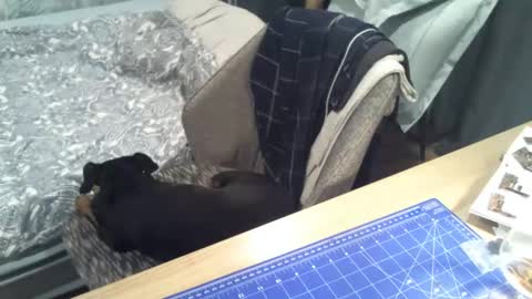 Snapshot of reunionussr chatting on 11/16/25, 04:45 reunionussr online show from 11/16/25, 04:45