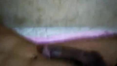 Snapshot of rica1234567890961640 chatting on 10/21/25, 05:19 rica1234567890961640 online show from 10/21/25, 05:19
