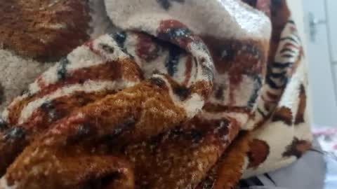 Snapshot of ricard440 chatting on 01/12/25, 01:16 ricard440 online show from 01/12/25, 01:16