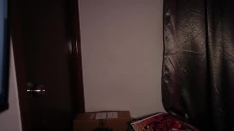 Snapshot of riniryokouwu chatting on 10/28/25, 10:45 online show from 10/28/25, 10:45