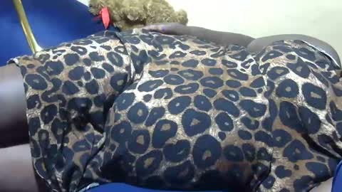 cookie online show from 12/29/24, 05:12