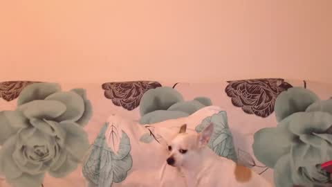 Snapshot of riri_mojo_92 chatting on 11/25/25, 10:32 riri_mojo_92 online show from 11/25/25, 10:32