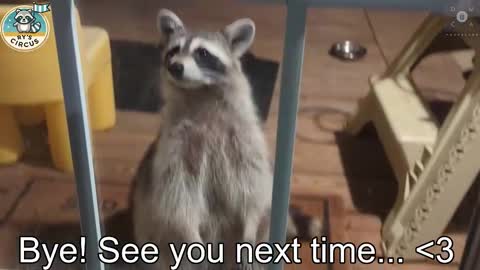 Snapshot of rndmzd chatting on 10/24/25, 12:52 Ryan aka KeylimeRy online show from 10/24/25, 12:52