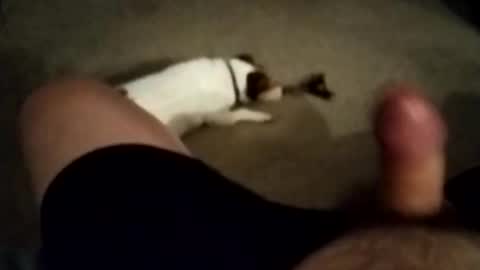 robbiebob6828 online show from 11/27/25, 06:04