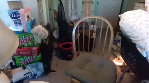 rocky082288 online show from 01/09/25, 01:24