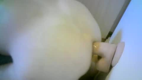 Snapshot of romson998181 chatting on 11/01/25, 08:27 romson998181 online show from 11/01/25, 08:27