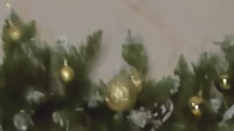 Snapshot of rosa1ia chatting on 12/27/24, 10:05 Chloe online show from 12/27/24, 10:05