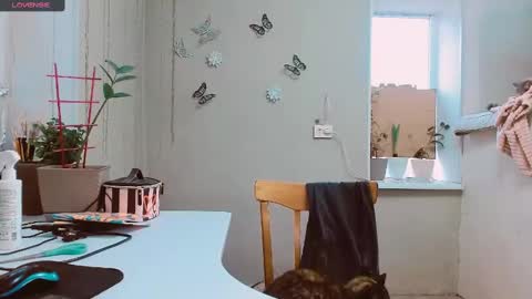 Snapshot of rosa843850 chatting on 02/02/25, 02:13 rosa843850 online show from 02/02/25, 02:13