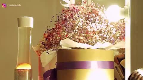 Rosalie online show from 11/14/25, 11:35