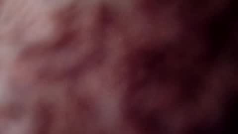 rose12161216 online show from 11/03/25, 03:13