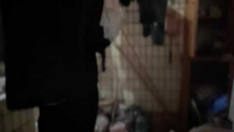 Rose and the Collector online show from 09/20/25, 06:53