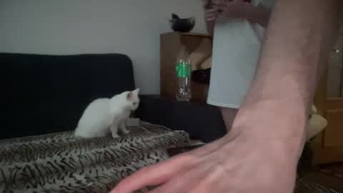 Rose and the Collector online show from 09/27/25, 05:23