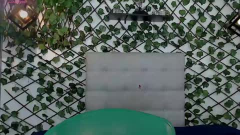 Rous online show from 02/08/25, 09:35