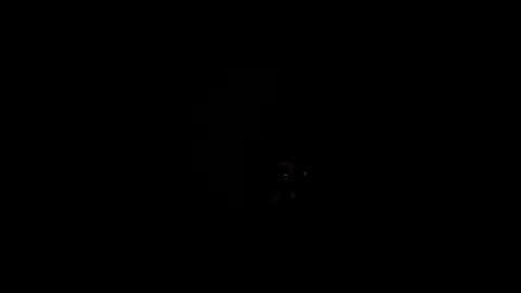 Snapshot of royce888 chatting on 11/16/25, 05:24 royce888 online show from 11/16/25, 05:24