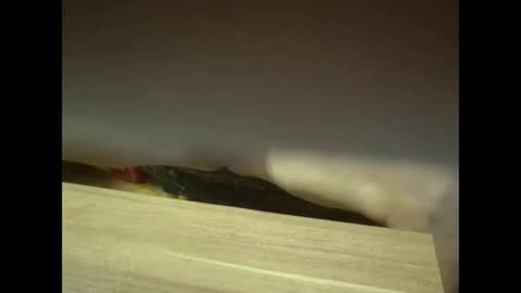 Snapshot of ruber416966 chatting on 10/31/25, 08:26 ruber416966 online show from 10/31/25, 08:26