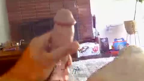 ryanbobby88 online show from 10/16/25, 09:27