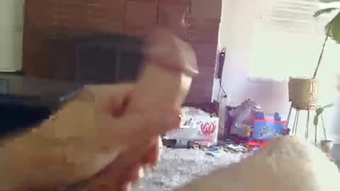 ryanbobby88 online show from 10/31/25, 09:16