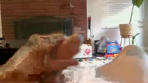 ryanbobby88 online show from 11/01/25, 02:19