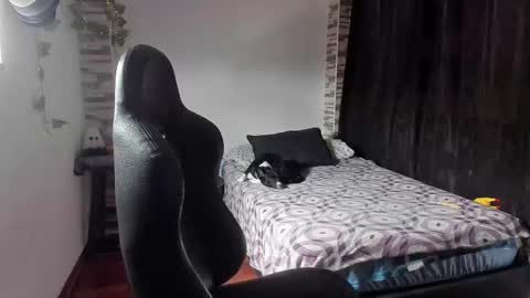 Danny online show from 11/02/25, 02:19