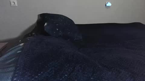 pluto online show from 02/17/25, 10:47