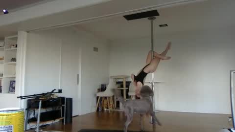 sadgirldies online show from 02/20/25, 12:52