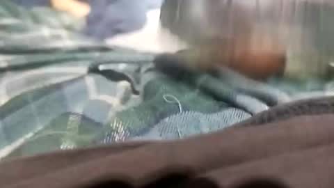 sagozure online show from 10/05/25, 01:59