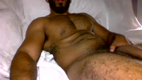 SD17 online show from 12/29/24, 03:11