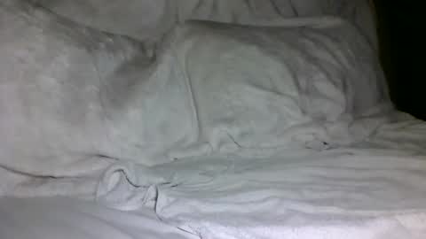 SD17 online show from 02/05/25, 01:44