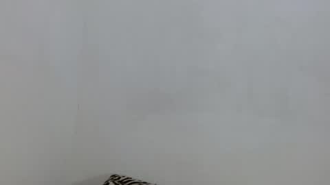 Snapshot of salome_blondie chatting on 11/04/25, 06:29 salome online show from 11/04/25, 06:29