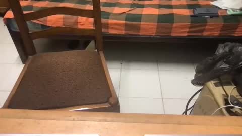 samhotbbc7 online show from 10/19/25, 12:33